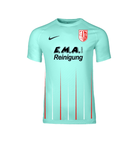 Nike Park VIII Trikot Türkis F354