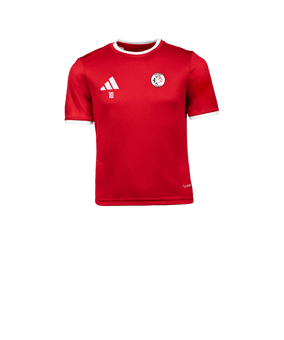 adidas Entrada 26 Maillot Enfants Rouge 