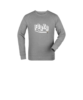 Merch Mini Changer 2.0 Sweatshirt Kids Heather Grey | #forza