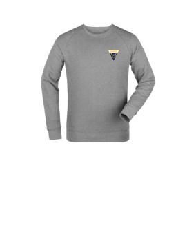 Merch Mini Changer 2.0 Sweatshirt Kids Heather Grey | #justlogo4c