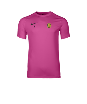 Nike Park VIII Maillot Rose C616