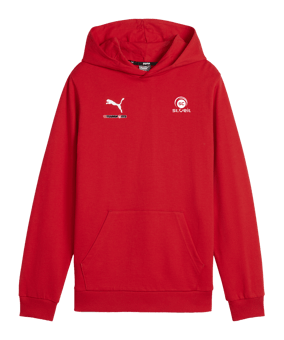 PUMA teamGOAL Casuals Hoody Kids Rot F01