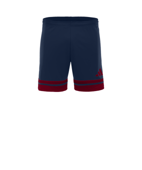 adidas Squadra 25 Pantalones cortos Azul 