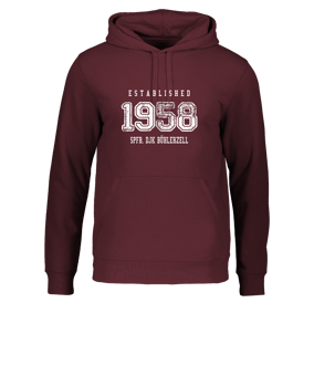 Merch Drummer 2.0 Hoody Burgundy | #established