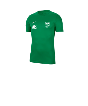 Nike Park VII Trikot kurzarm Kids Grün F302