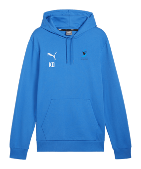 PUMA teamGOAL Casuals Hoody Blau F02