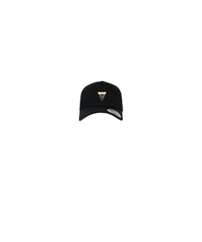 Merch 5 Panel Curved Snapback Cap Schwarz | logo4c