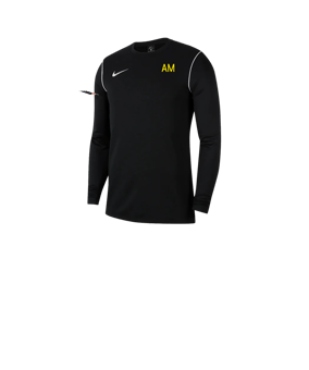 Nike Park 20 Sweatshirt Kids Schwarz Weiss F010