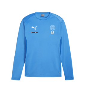 PUMA teamGOAL Training Sweatshirt Blau F02