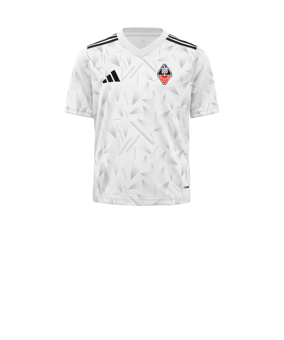 adidas Team Icon 25 Trikot Kids Weiß