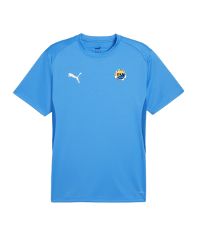 PUMA teamGOAL Trikot Blau F02