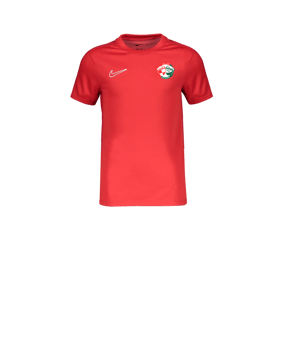 Nike Academy Trainingsshirt Kids Rot F657
