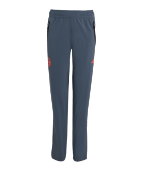 adidas FC Bayern München Tech Travel Hose Kids Grau - grau