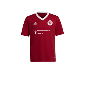 adidas Entrada 22 Trikot Kids Rot Weiss