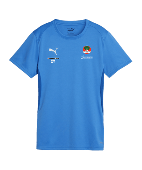 PUMA teamGOAL Trikot Damen Blau F02