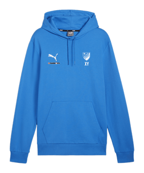 PUMA teamGOAL Casuals Hoody Blau F02