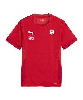 PUMA teamGOAL Matchday Trikot Kids Rot Weiss F01