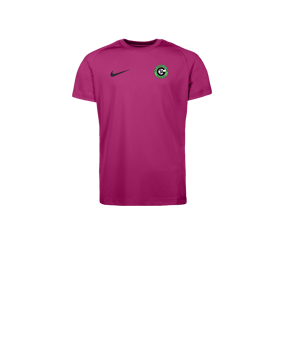 Nike Park VIII Trikot Kids Rosa F616