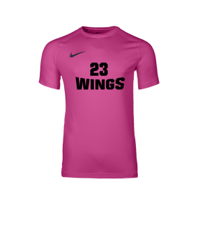 Nike Park VIII Trikot Rosa F616