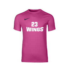 Nike Park VIII Trikot Rosa F616