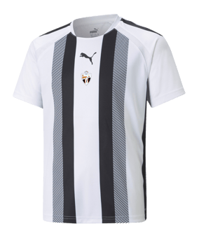 PUMA teamLIGA Striped Maillot Niños Blanco F04 