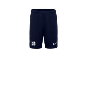 Nike Park III Court Enfants Bleu C410 