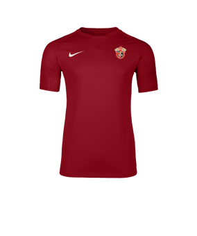 Nike Academy II Trikot Rot F657