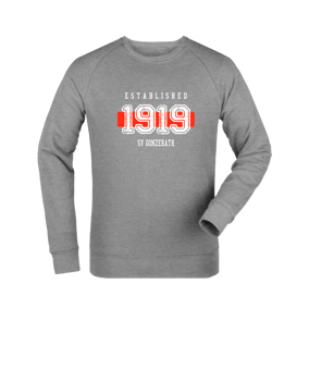 Merch Roller Sweatshirt Heather Grey | #established