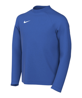 Nike Park VIII Trikot langarm Kids Blau F463 - blau