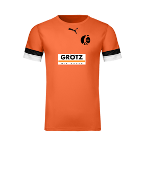 PUMA teamRISE Trikot Orange F08