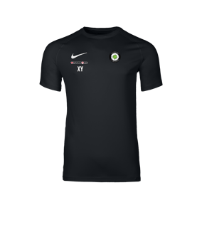 Nike Park VIII Trikot Schwarz F010