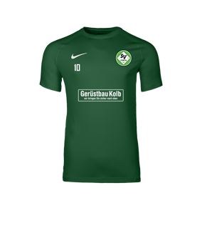 Nike Park VIII Trikot Grün F302