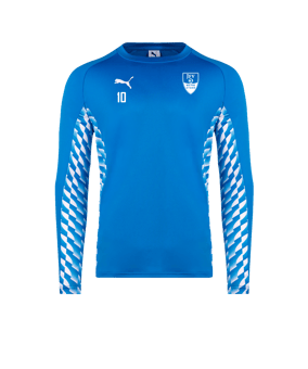 PUMA teamLIGA26 Training Sweatshirt Blau F02