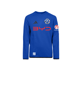 adidas Tiro Travel Sweatshirt Kids Blau