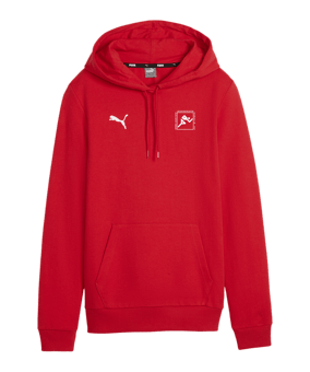 PUMA teamGOAL Casuals Hoody Damen Rot F01