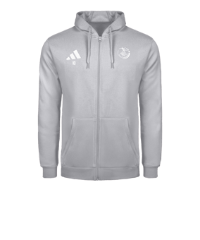adidas Entrada 26 Veste à capuche Gris 