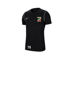 Nike Park 20 T-Shirt Kids Schwarz F010