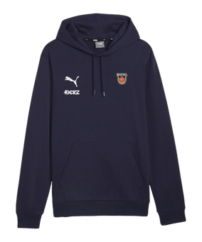 PUMA teamGOAL Casuals Hoody Blau F06