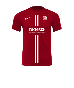 Nike Park VII Trikot kurzarm Rot F657