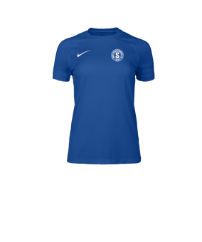 Nike Park VIII Trikot Damen Blau F463
