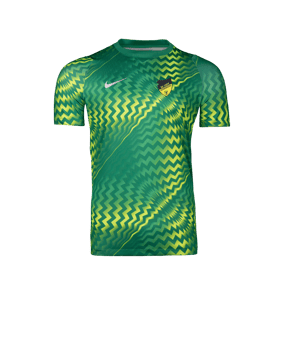 Nike Gardien VI Torwarttrikot Grün F324