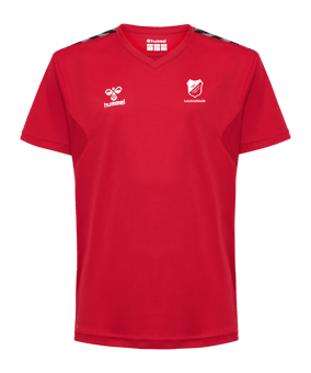 Hummel hmlAUTHENTIC PL Trikot Kids Rot F3062