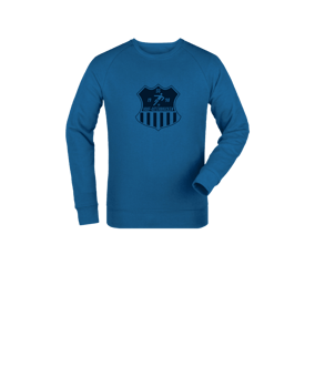 Merch Mini Changer 2.0 Sweatshirt Kids Royal Blue | #toneintone