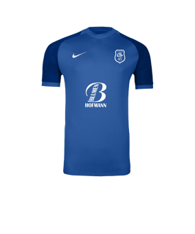 Nike Trophy VI Trikot Blau F463