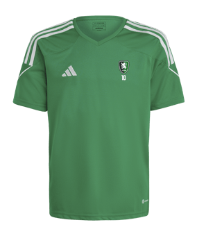 adidas Tiro 23 Trikot Kids Dunkelgrün Weiss