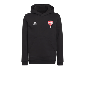 Sweat à capuche enfant adidas Entrada 22 Noir 