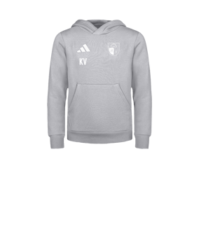 adidas Entrada 26 Hoody Kids Grau