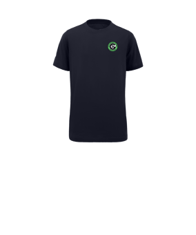 Nike Park 20 T-Shirt Kids Blau Weiss F451