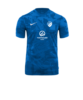 Nike Precision VII Trikot Blau F463