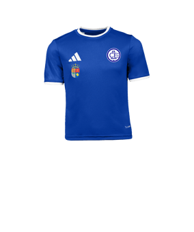 adidas Entrada 26 Camiseta Niños Azul 